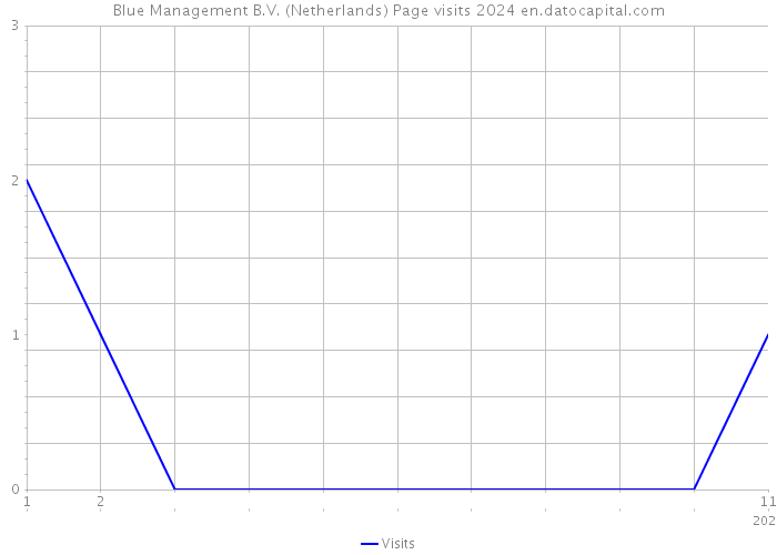Blue Management B.V. (Netherlands) Page visits 2024 