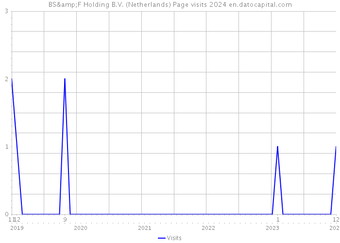 BS&F Holding B.V. (Netherlands) Page visits 2024 