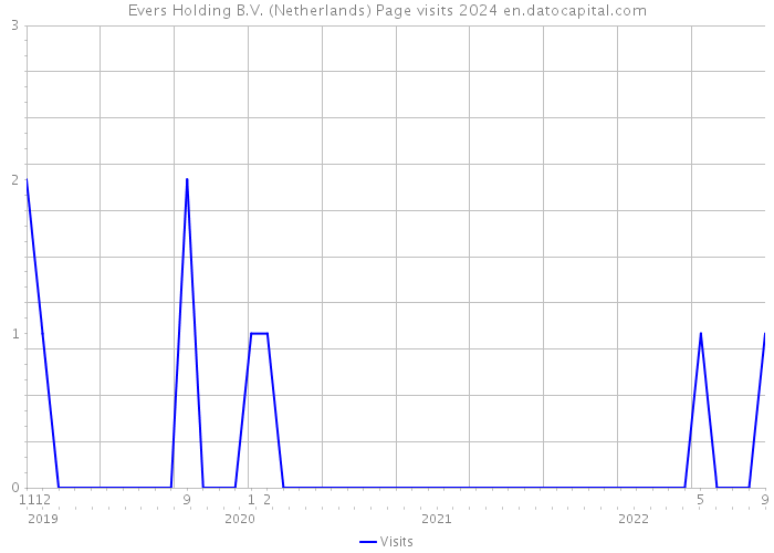 Evers Holding B.V. (Netherlands) Page visits 2024 