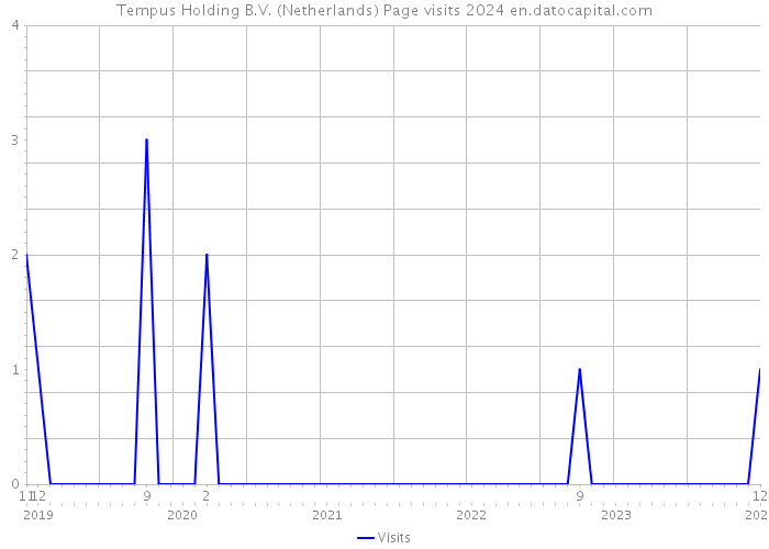 Tempus Holding B.V. (Netherlands) Page visits 2024 