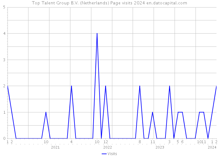 Top Talent Group B.V. (Netherlands) Page visits 2024 