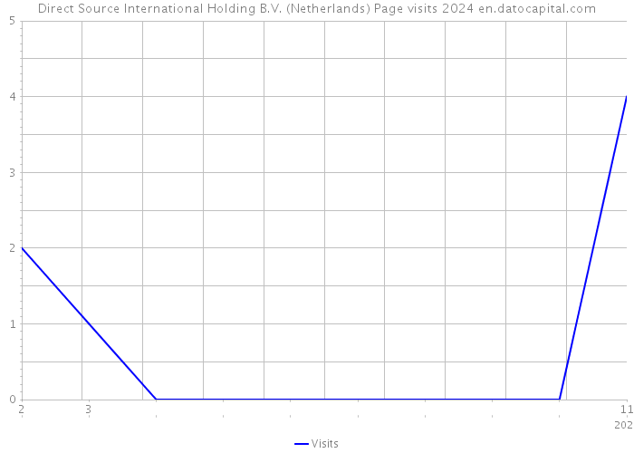 Direct Source International Holding B.V. (Netherlands) Page visits 2024 
