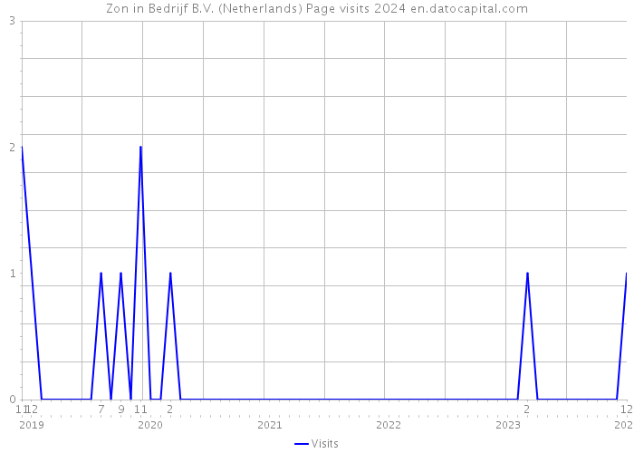 Zon in Bedrijf B.V. (Netherlands) Page visits 2024 