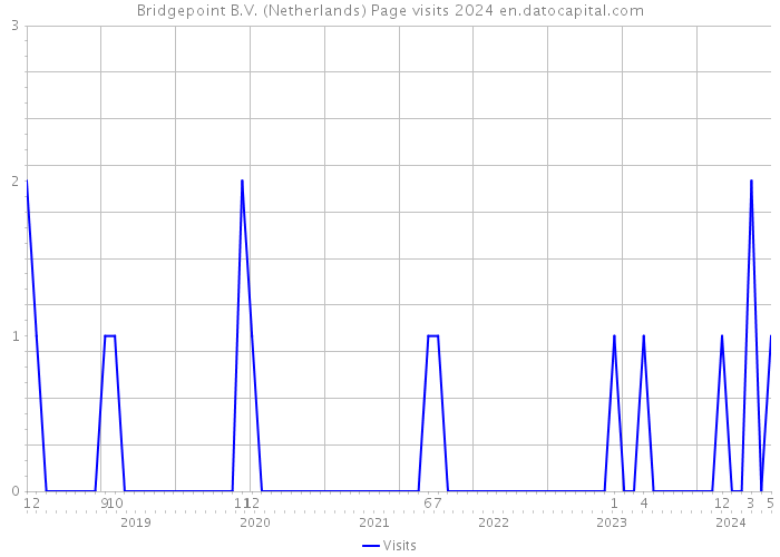 Bridgepoint B.V. (Netherlands) Page visits 2024 