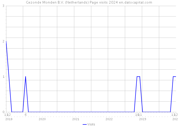 Gezonde Monden B.V. (Netherlands) Page visits 2024 