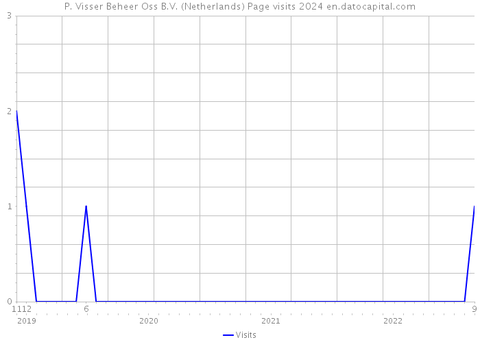 P. Visser Beheer Oss B.V. (Netherlands) Page visits 2024 