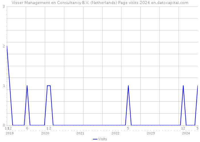 Visser Management en Consultancy B.V. (Netherlands) Page visits 2024 