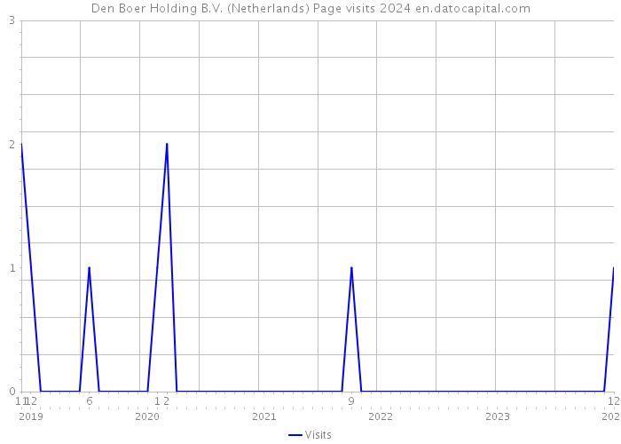 Den Boer Holding B.V. (Netherlands) Page visits 2024 