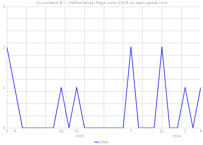 Grossmann B.V. (Netherlands) Page visits 2024 