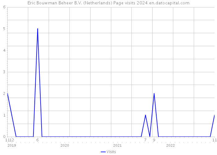 Eric Bouwman Beheer B.V. (Netherlands) Page visits 2024 