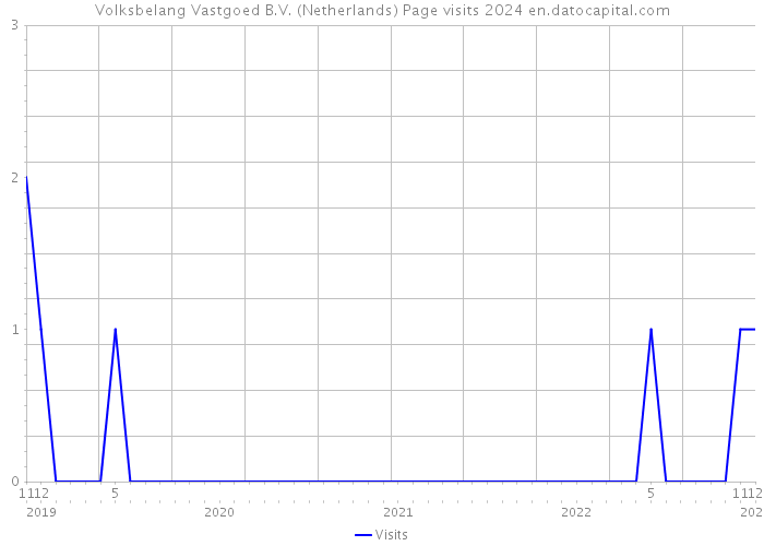 Volksbelang Vastgoed B.V. (Netherlands) Page visits 2024 