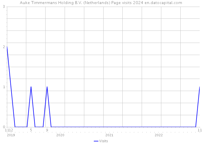 Auke Timmermans Holding B.V. (Netherlands) Page visits 2024 