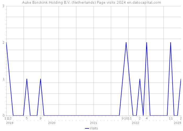 Auke Borckink Holding B.V. (Netherlands) Page visits 2024 