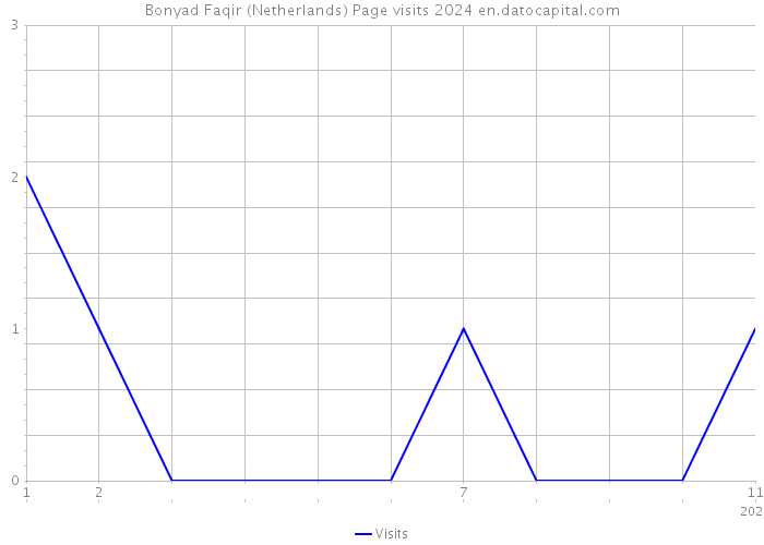 Bonyad Faqir (Netherlands) Page visits 2024 