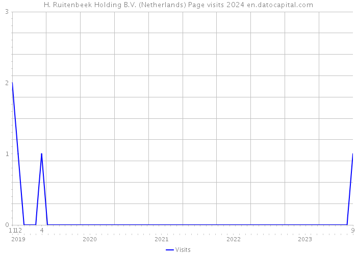 H. Ruitenbeek Holding B.V. (Netherlands) Page visits 2024 