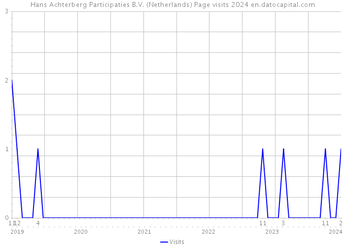 Hans Achterberg Participaties B.V. (Netherlands) Page visits 2024 