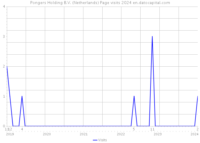 Pongers Holding B.V. (Netherlands) Page visits 2024 