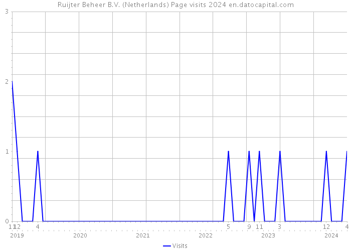 Ruijter Beheer B.V. (Netherlands) Page visits 2024 