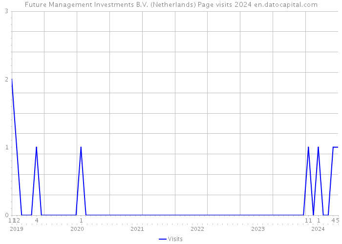 Future Management Investments B.V. (Netherlands) Page visits 2024 