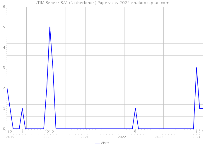.TIM Beheer B.V. (Netherlands) Page visits 2024 