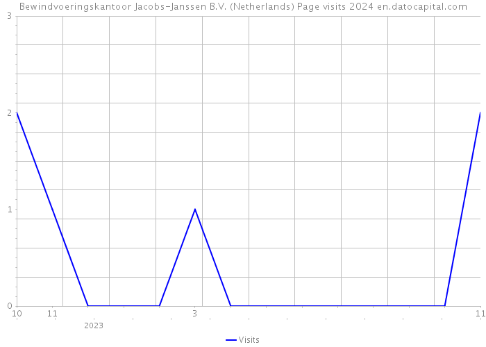 Bewindvoeringskantoor Jacobs-Janssen B.V. (Netherlands) Page visits 2024 