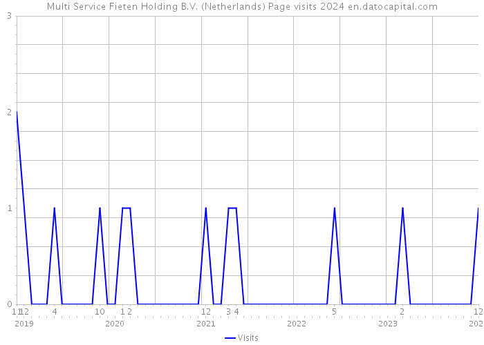 Multi Service Fieten Holding B.V. (Netherlands) Page visits 2024 