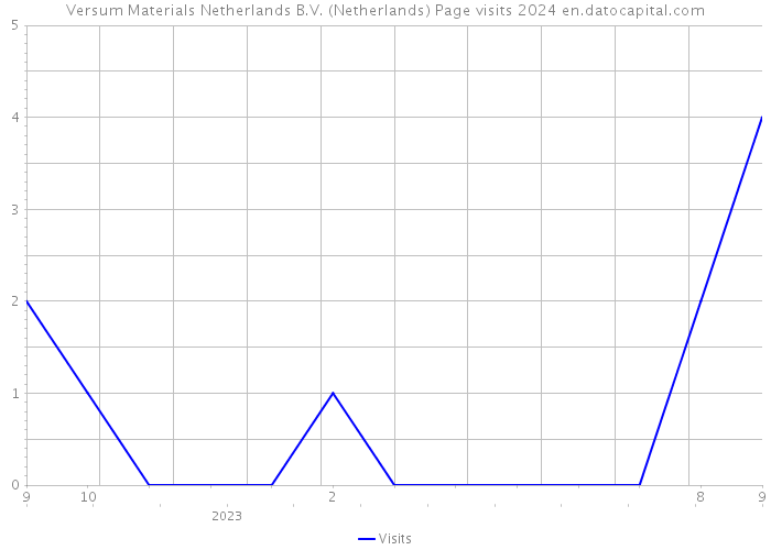 Versum Materials Netherlands B.V. (Netherlands) Page visits 2024 