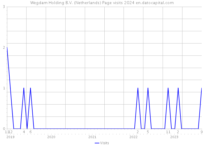 Wegdam Holding B.V. (Netherlands) Page visits 2024 