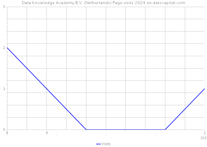 Data Knowledge Academy B.V. (Netherlands) Page visits 2024 
