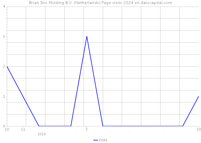 Brian Sno Holding B.V. (Netherlands) Page visits 2024 