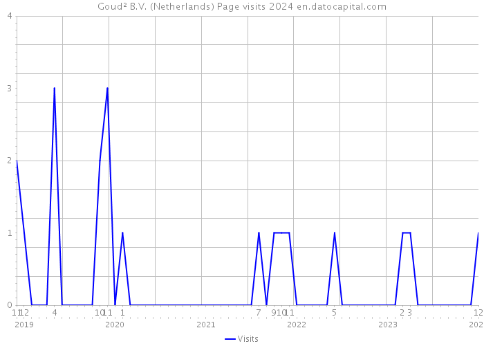 Goud² B.V. (Netherlands) Page visits 2024 