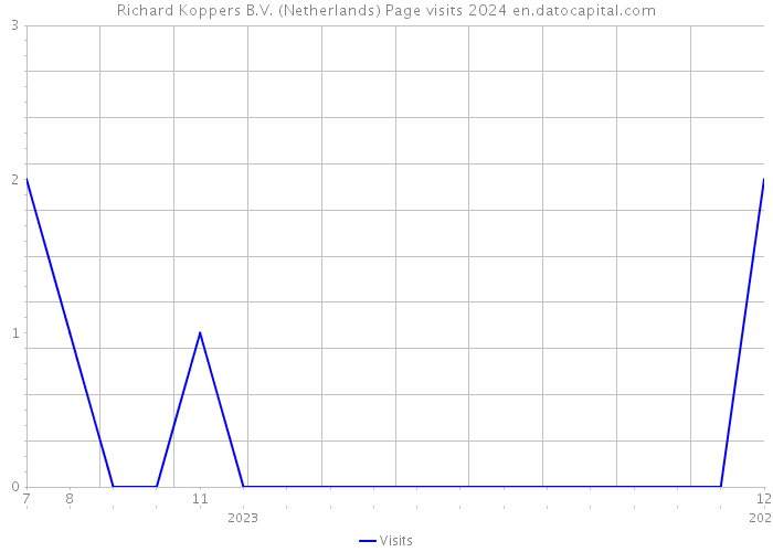 Richard Koppers B.V. (Netherlands) Page visits 2024 