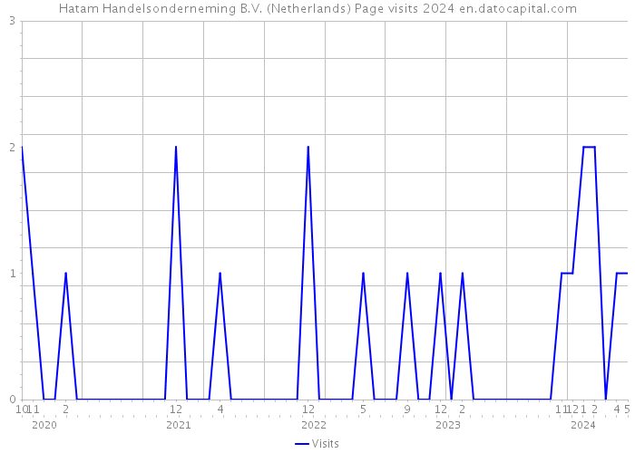 Hatam Handelsonderneming B.V. (Netherlands) Page visits 2024 
