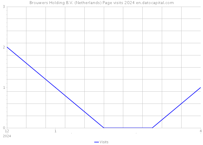Brouwers Holding B.V. (Netherlands) Page visits 2024 