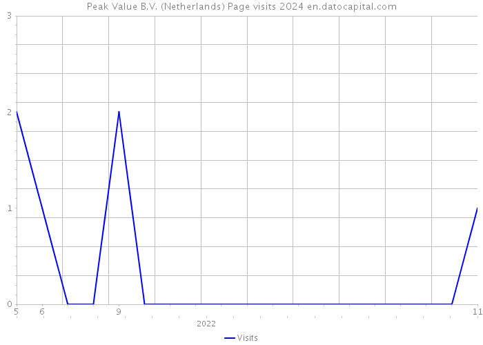 Peak Value B.V. (Netherlands) Page visits 2024 