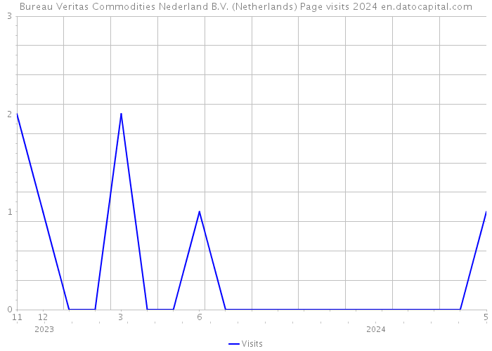 Bureau Veritas Commodities Nederland B.V. (Netherlands) Page visits 2024 