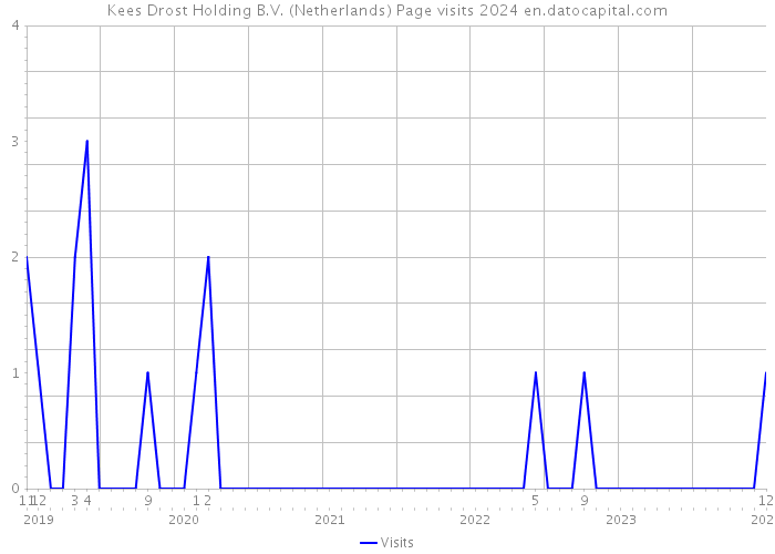 Kees Drost Holding B.V. (Netherlands) Page visits 2024 