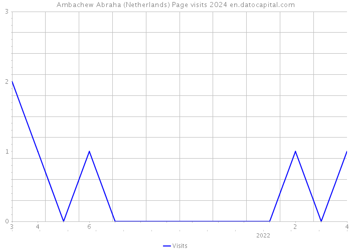 Ambachew Abraha (Netherlands) Page visits 2024 