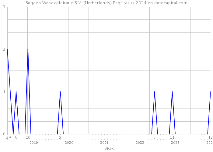 Baggen Webexploitatie B.V. (Netherlands) Page visits 2024 