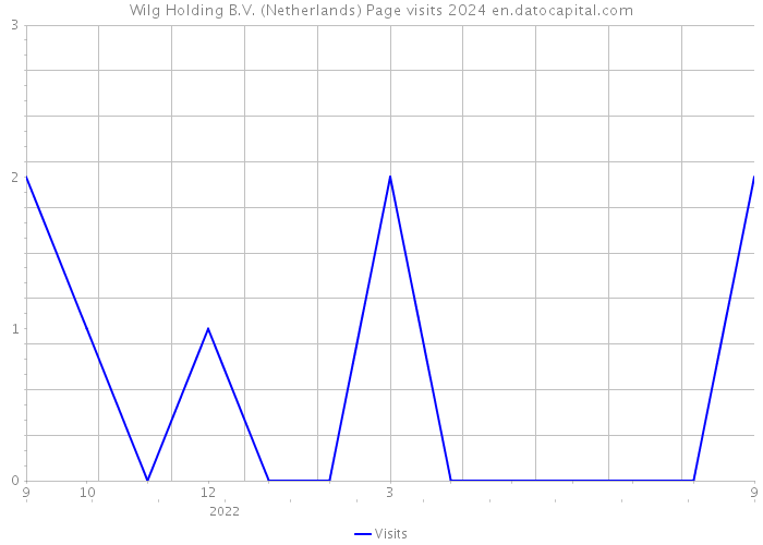 Wilg Holding B.V. (Netherlands) Page visits 2024 