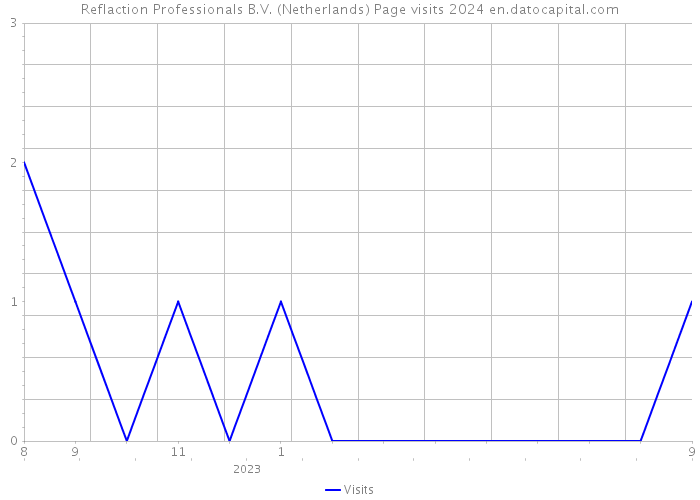 Reflaction Professionals B.V. (Netherlands) Page visits 2024 