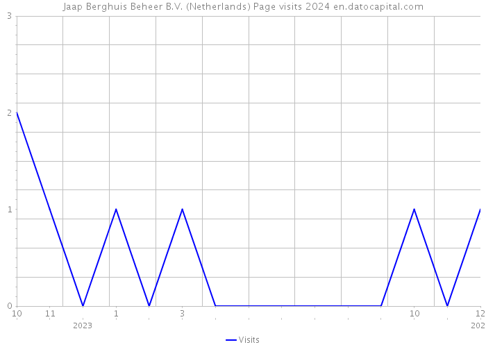 Jaap Berghuis Beheer B.V. (Netherlands) Page visits 2024 
