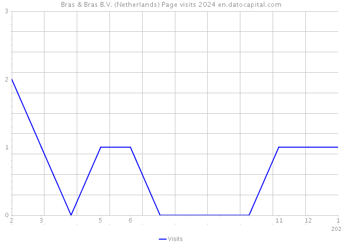 Bras & Bras B.V. (Netherlands) Page visits 2024 