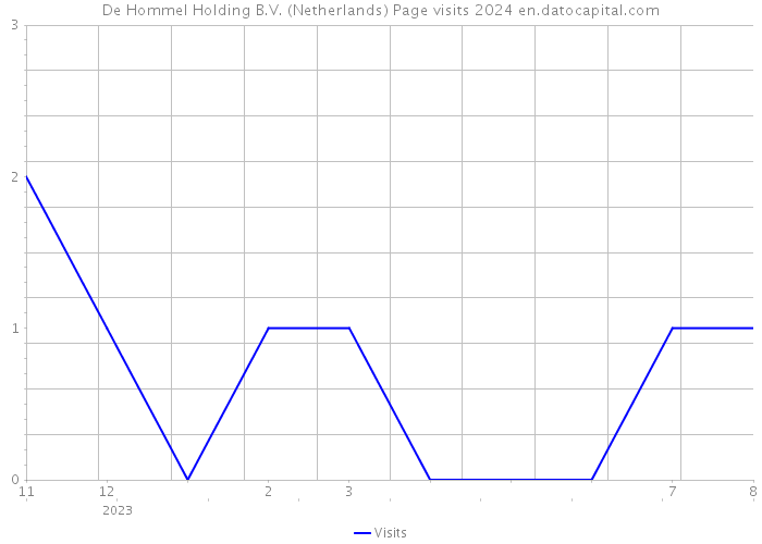 De Hommel Holding B.V. (Netherlands) Page visits 2024 