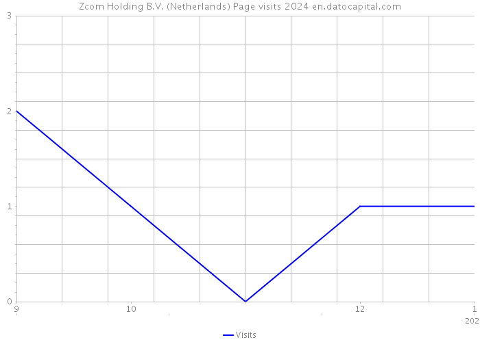 Zcom Holding B.V. (Netherlands) Page visits 2024 