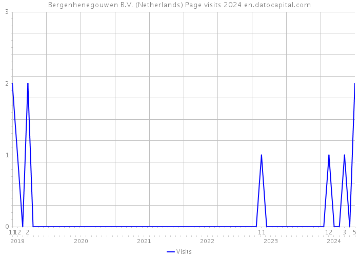 Bergenhenegouwen B.V. (Netherlands) Page visits 2024 