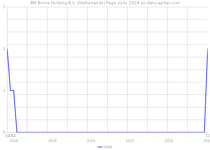 BM Borne Holding B.V. (Netherlands) Page visits 2024 