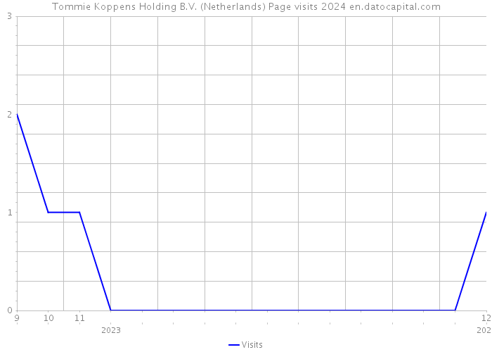Tommie Koppens Holding B.V. (Netherlands) Page visits 2024 
