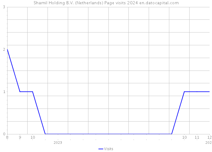Shamil Holding B.V. (Netherlands) Page visits 2024 