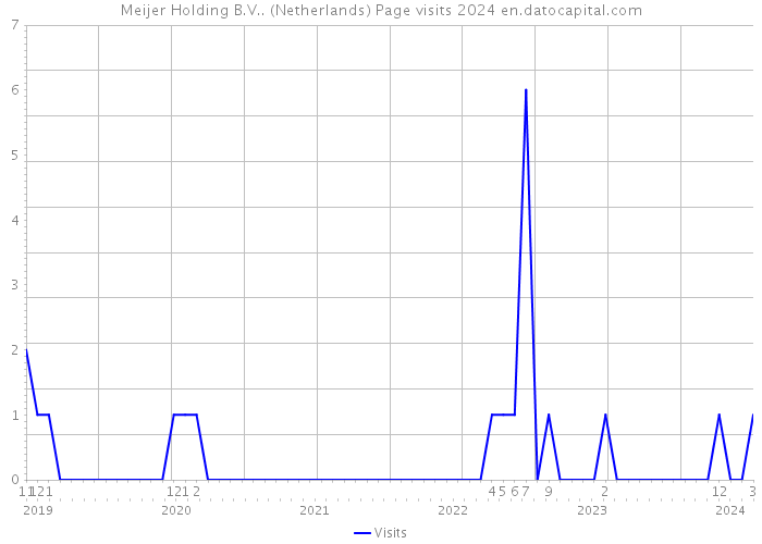 Meijer Holding B.V.. (Netherlands) Page visits 2024 